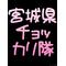 宮城県ﾁｮｯｶﾘ隊[V:4733]